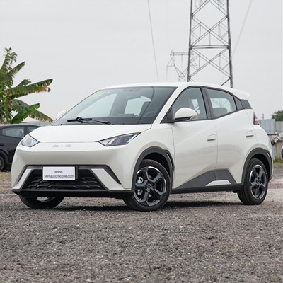 BYD Sirály Mini Ev